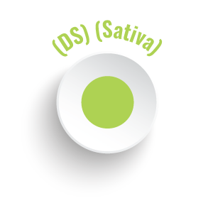 Durban Sour CBD oil near me